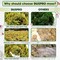 Dried Moss for Potted Plants, Forest Orchid Moss for Potting Mix, Sphagnum Potting Moss for Plants Indoor, Real Moss Soil Cover for Houseplant